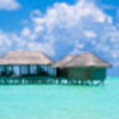 ZhenHao Ye Restaurant